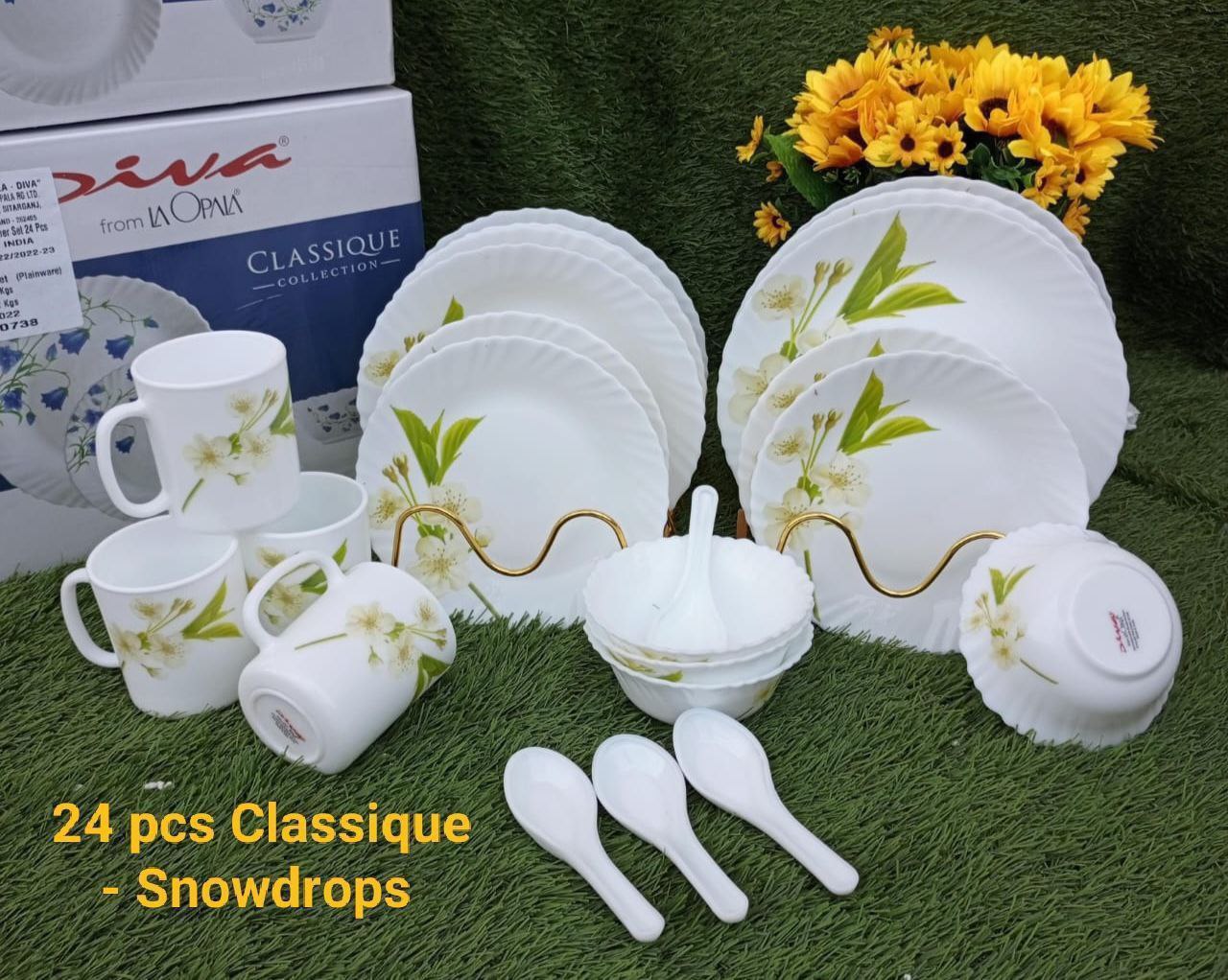 snowdrops24